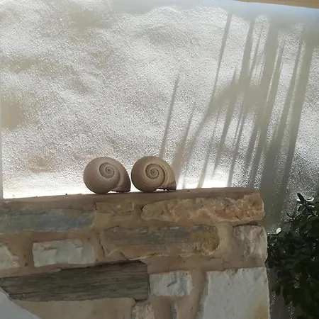 Sail In 德里奥斯