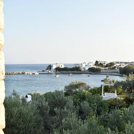 Sail In * Δρυός